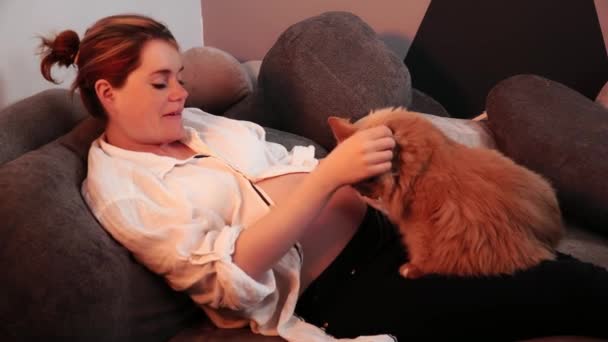 En ung gravid dam som ligger i en soffa smeker en röd pälsad katt som sitter på knä. — Stockvideo