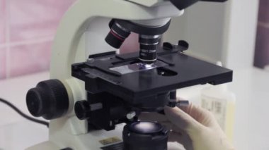 Laboratuarda mikroskop ile çalışma