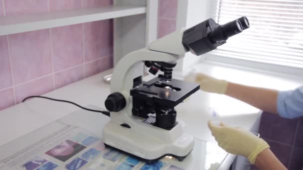 Travailler en laboratoire avec un microscope 