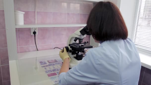 Εργασίας στο εργαστήριο με το μικροσκόπιο — Αρχείο Βίντεο