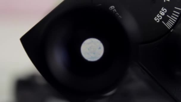 Travailler en laboratoire avec un microscope — Video