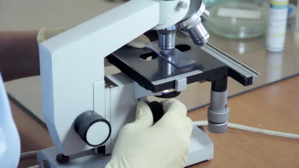 Werken in lab met Microscoop — Stockvideo