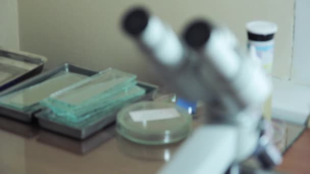 Lavorare in laboratorio con microscopio — Video Stock