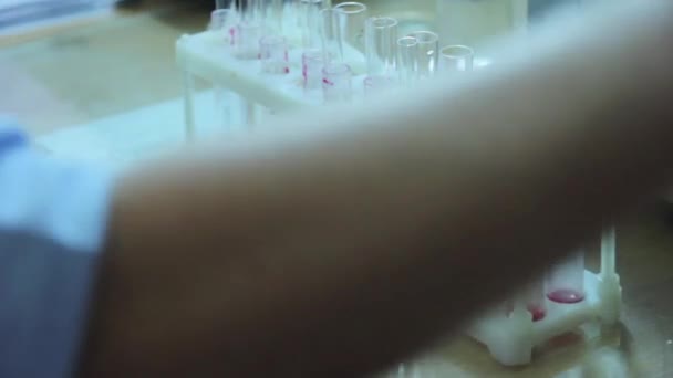 Доктор делает ДНК-тесты — стоковое видео