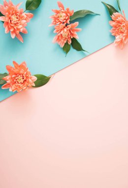 Mavi ve pembe arka planda yaprakları olan bahar pastel çiçekleri. Metin için kopyalama alanı olan en küçük düz konum.