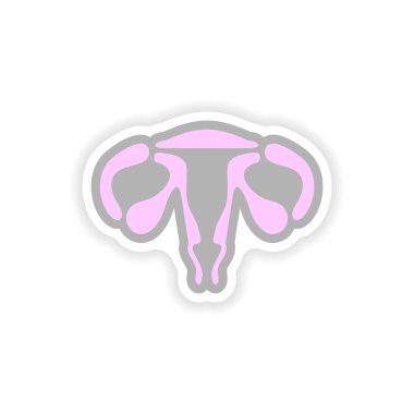 Kağıt etiket beyaz arka plan kadın vajina