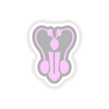 paper sticker on white background man penis