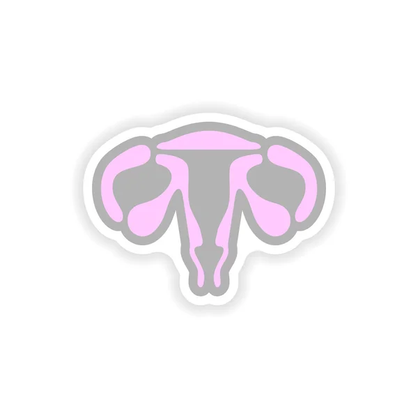 Paper sticker on white background woman vagina — Stockvector
