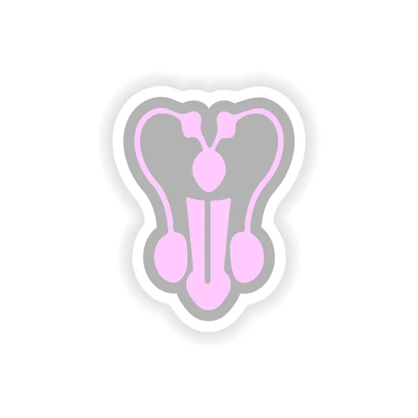 Paper sticker on white background man penis — Stock vektor