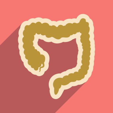 Düz stil içinde insan oniki parmak bağırsağı simgesi