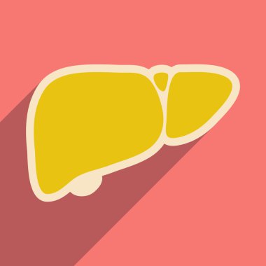 Düz stil içinde insan karaciğer simgesi