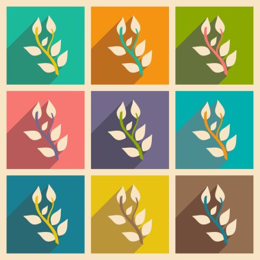 Düz gölge kavramı ve mobil uygulama fesleğen bitki ile