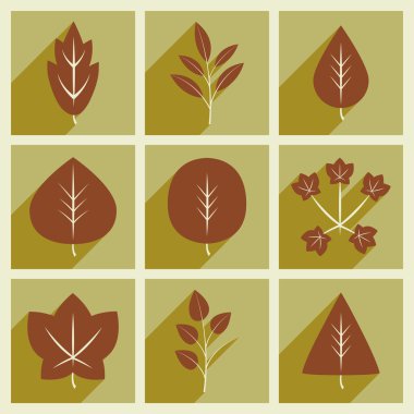 Düz gölge kavramı ve mobil uygulama yaprakları ile