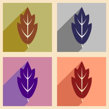 Düz gölge kavramı ve mobil uygulama yaprakları ile