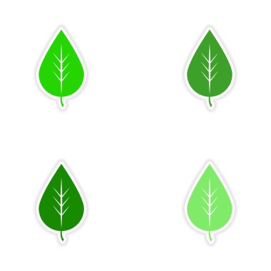 kağıt üzerinde derleme gerçekçi etiket tasarım sonbahar yaprakları