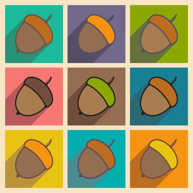 Düz gölge kavramı ve mobil uygulama meşe palamudu ile