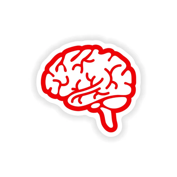 Pegatina de papel sobre fondo blanco cerebro humano — Vector de stock