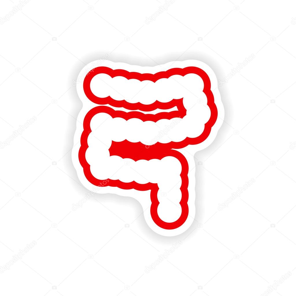 paper sticker on white background human intestine