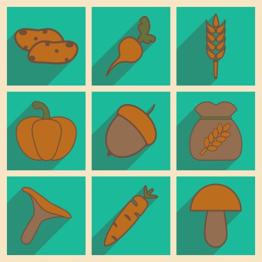 Düz gölge kavramı ve mobil uygulama hasat ile