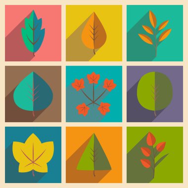 Düz gölge kavramı ve mobil uygulama yaprakları ile