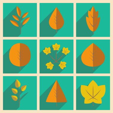 Düz gölge kavramı ve mobil uygulama yaprakları ile