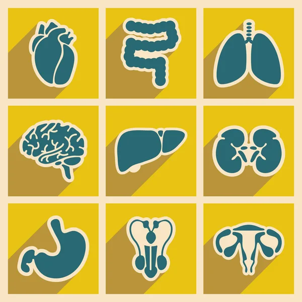 Ícones de órgãos internos de montagem em estilo plano —  Vetores de Stock