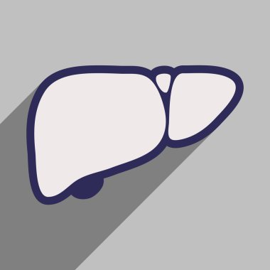 Düz stil içinde insan karaciğer simgesi