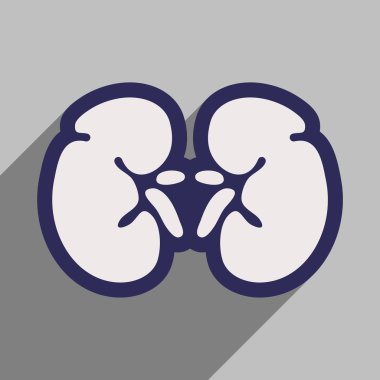 Düz stil içinde insan böbreğe simgesi