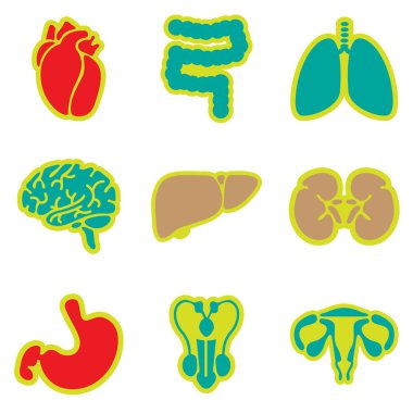 Derleme düz stil iç organlar simgeleri