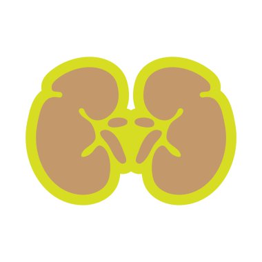 Düz stil içinde insan böbreğe simgesi