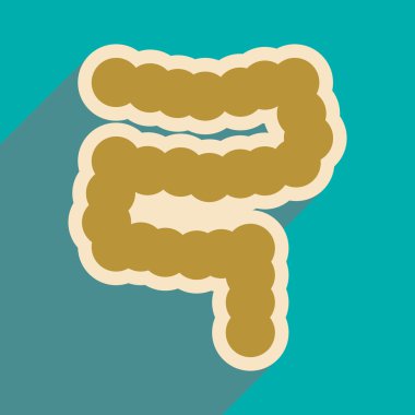 Düz stil içinde insan oniki parmak bağırsağı simgesi