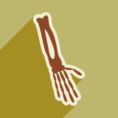 insan eli uzun kemiklerin gölge ile düz simgesi