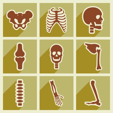 Uzun gölge insan iskeleti ile düz Icons set