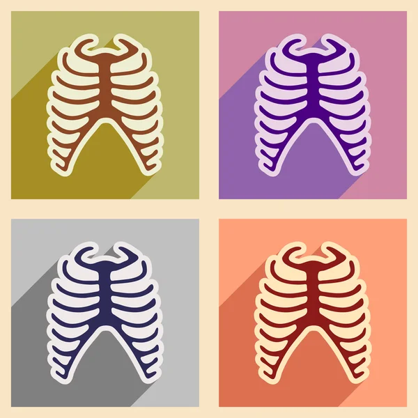 Flache Symbole mit langem Schatten menschliche Rippe — Stockvektor