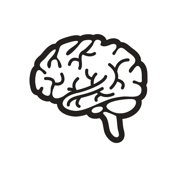 Elegante icono blanco y negro cerebro humano — Archivo Imágenes Vectoriales