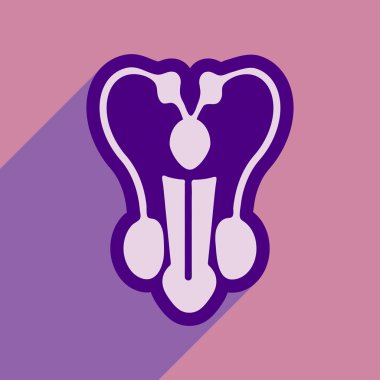 Icon of mans penis in flat style