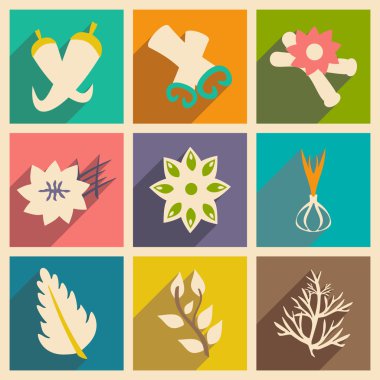 Düz gölge kavramı ve mobil uygulama baharatlar ile