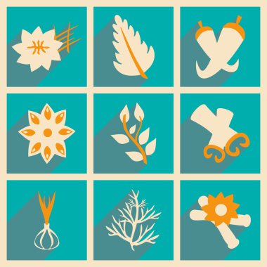 Düz gölge kavramı ve mobil uygulama ile baharat otlar