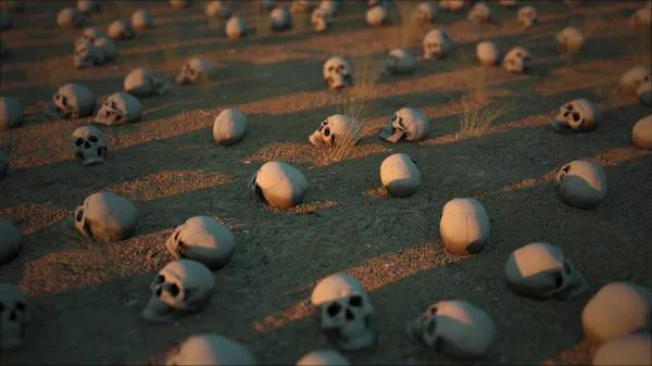 3D loopable animation of human skulls representing human extintion, end of humanity concept. Skulls on a dessert background extinction everybody dead. death of humanity. human fossil head