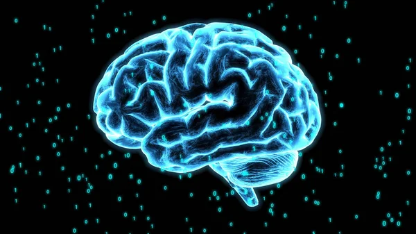 4k 30fps kusursuz döngü Al Beyin Konsepti. Yapay Zeka, nöronetler. 360 derece dönüyor. Siyah arka planda parlak mavi bir beyin hologramı. Dijital Beyin Büyük Verisi.
