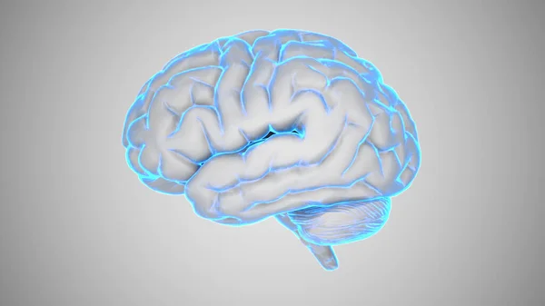 4k 30fps kusursuz döngü Al Beyin Konsepti. Yapay Zeka, nöronetler. 360 derece dönüyor. Siyah arka planda parlak mavi bir beyin hologramı. Dijital Beyin Büyük Verisi.