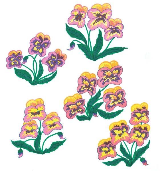 Isolated objects on a white background. Bushes of lilac-pink-yellow violets. Floral pattern for printing on textiles and decoration of spring gifts. Blooming nature is a symbol of rebirth, awakening of the earth, the arrival of warmth and beauty.