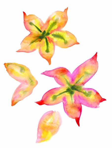 Ένα Σετ Από Χαριτωμένα Τροπικά Λουλούδια Και Πέταλα Από Λεπτές — Φωτογραφία Αρχείου