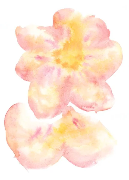 Abstract Stylized Watercolor Image Large Gentle Yellow Pink Tropical Flower — Stock Photo, Image