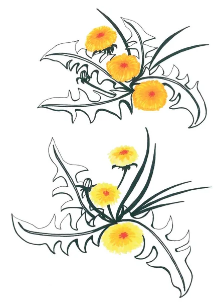 Padrão Floral Preto Branco Monocromático Elegante Com Elementos Amarelos Imagem — Fotografia de Stock