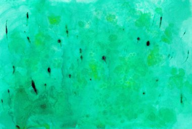 Doğal renklerde botanik kusursuz desen. Orman açıklığı, çimen, bahçe ya da çayır. Bulanık yeşillik, kireç sarısı çiçek damlaları ve güneş parıltısı, farklı bitkilerin birbirine zıt vuruşları.