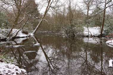 Karla kaplı orman yansıması gölde