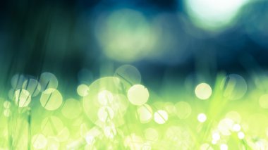 yeşil çim ile damla