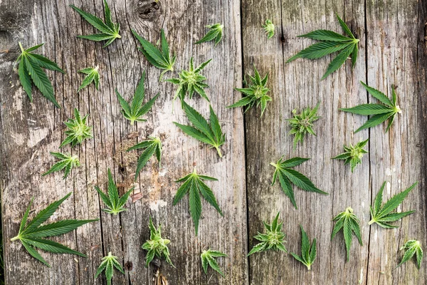 Marihuana op houten bureau. — Stockfoto