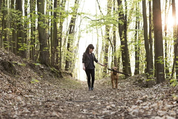 Kvinna gå med hund — Stockfoto